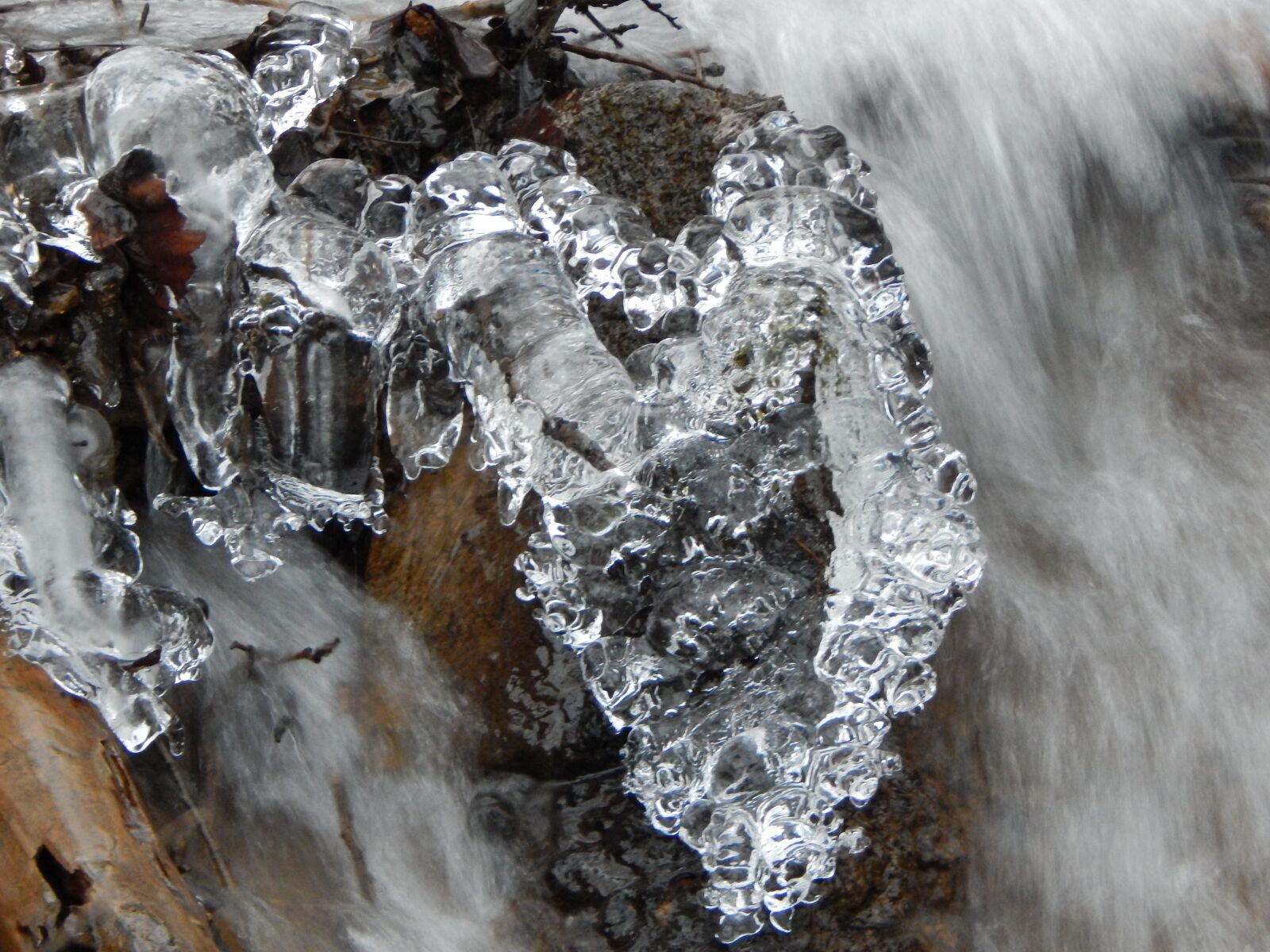 Nikon Coolpix L830 sample photo. Ice, water, cold photography