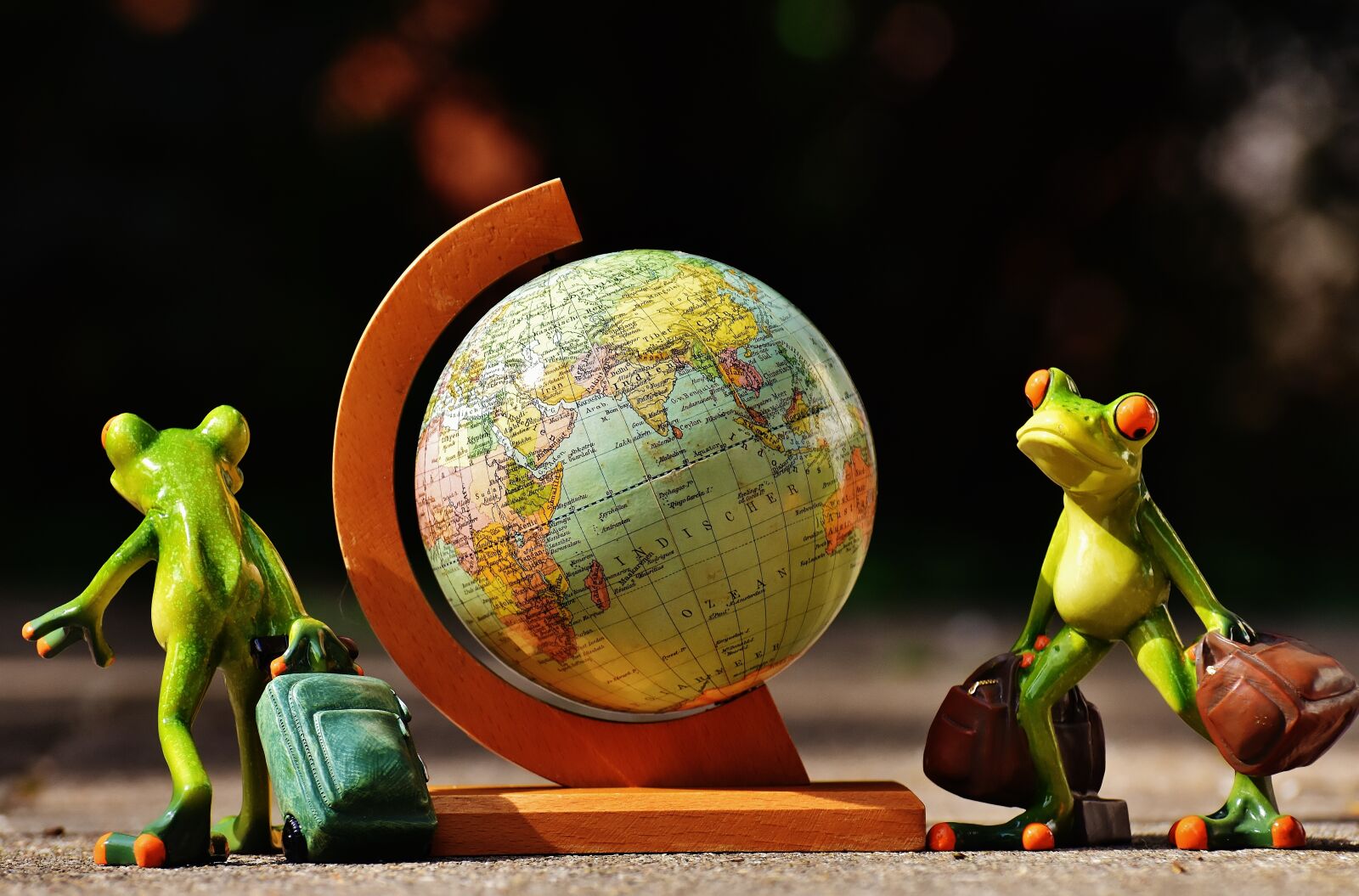 Nikon D7200 sample photo. Frogs, travel, go away photography
