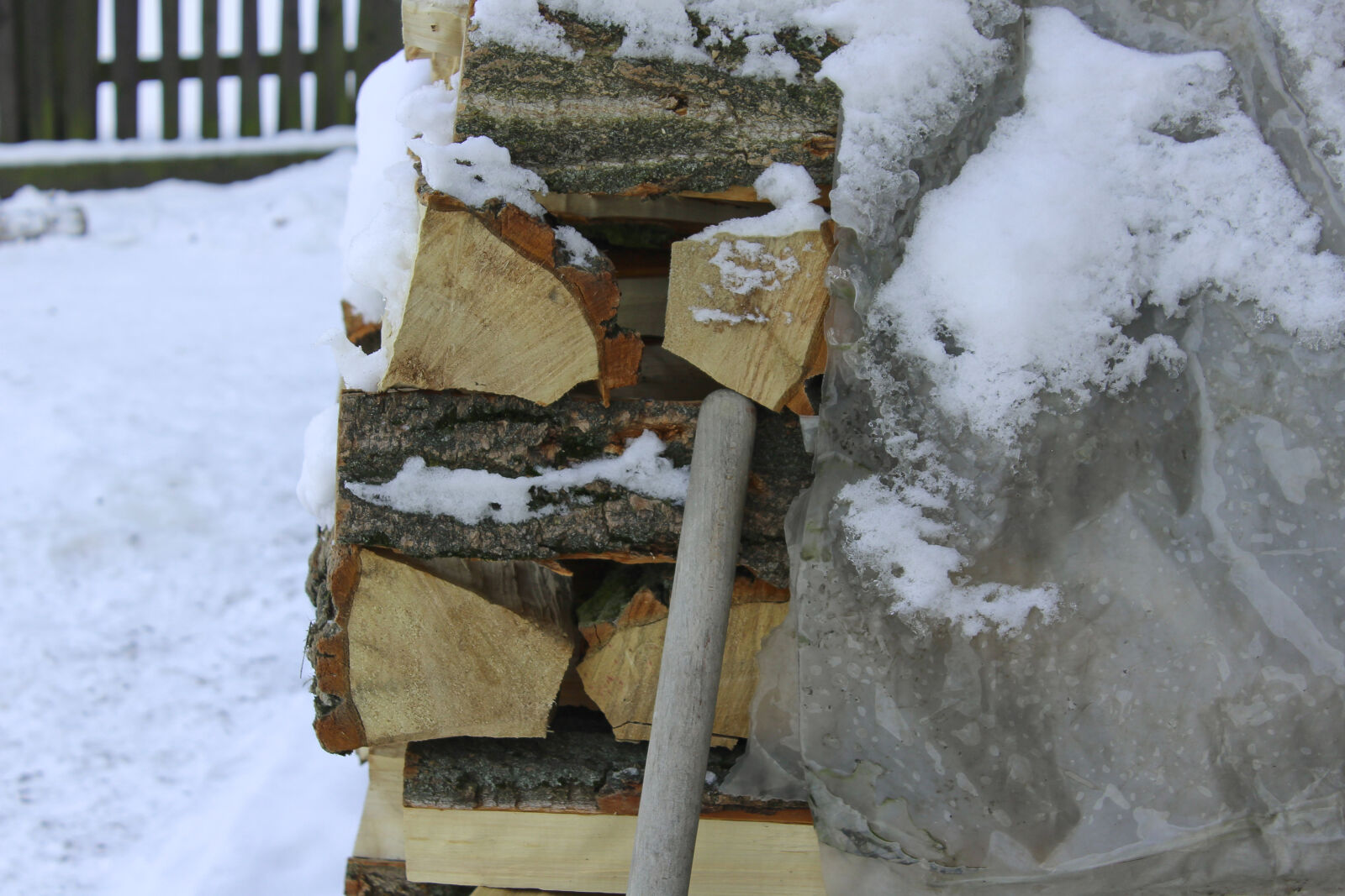Canon EOS 1200D (EOS Rebel T5 / EOS Kiss X70 / EOS Hi) sample photo. Cold, snow, timber, winter photography
