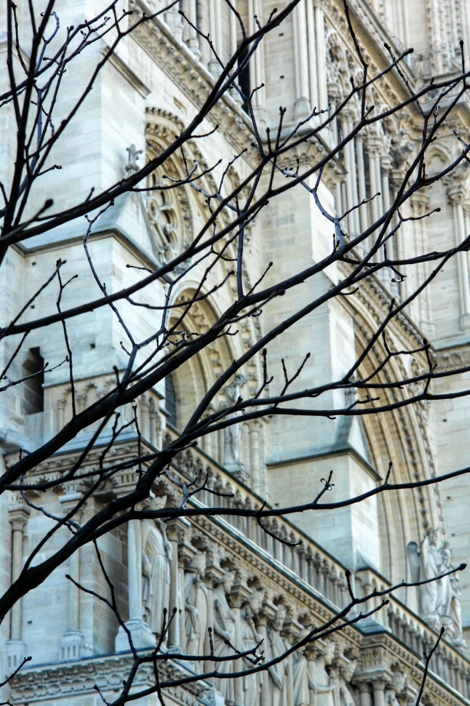 Sony DSC-R1 sample photo. Paris, facade, architecture photography