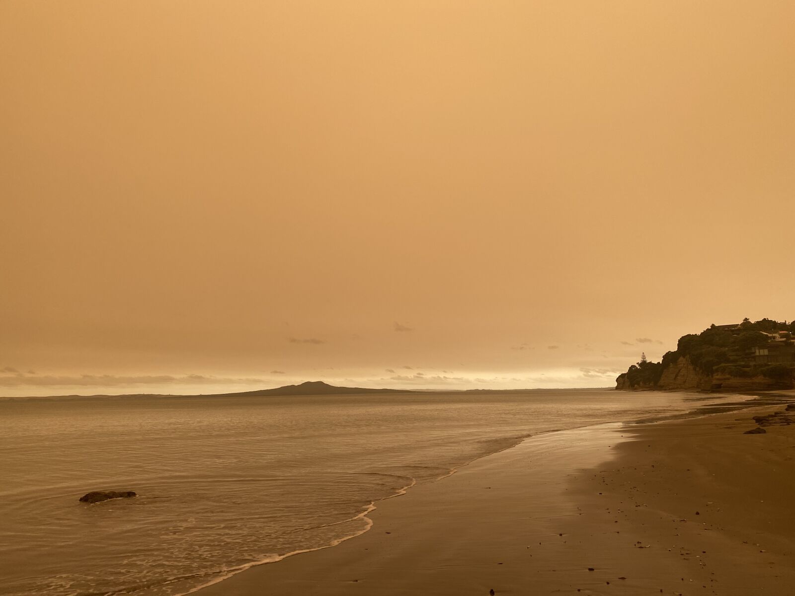 Apple iPhone 11 Pro Max sample photo. Rangitoto, eerie, beach photography