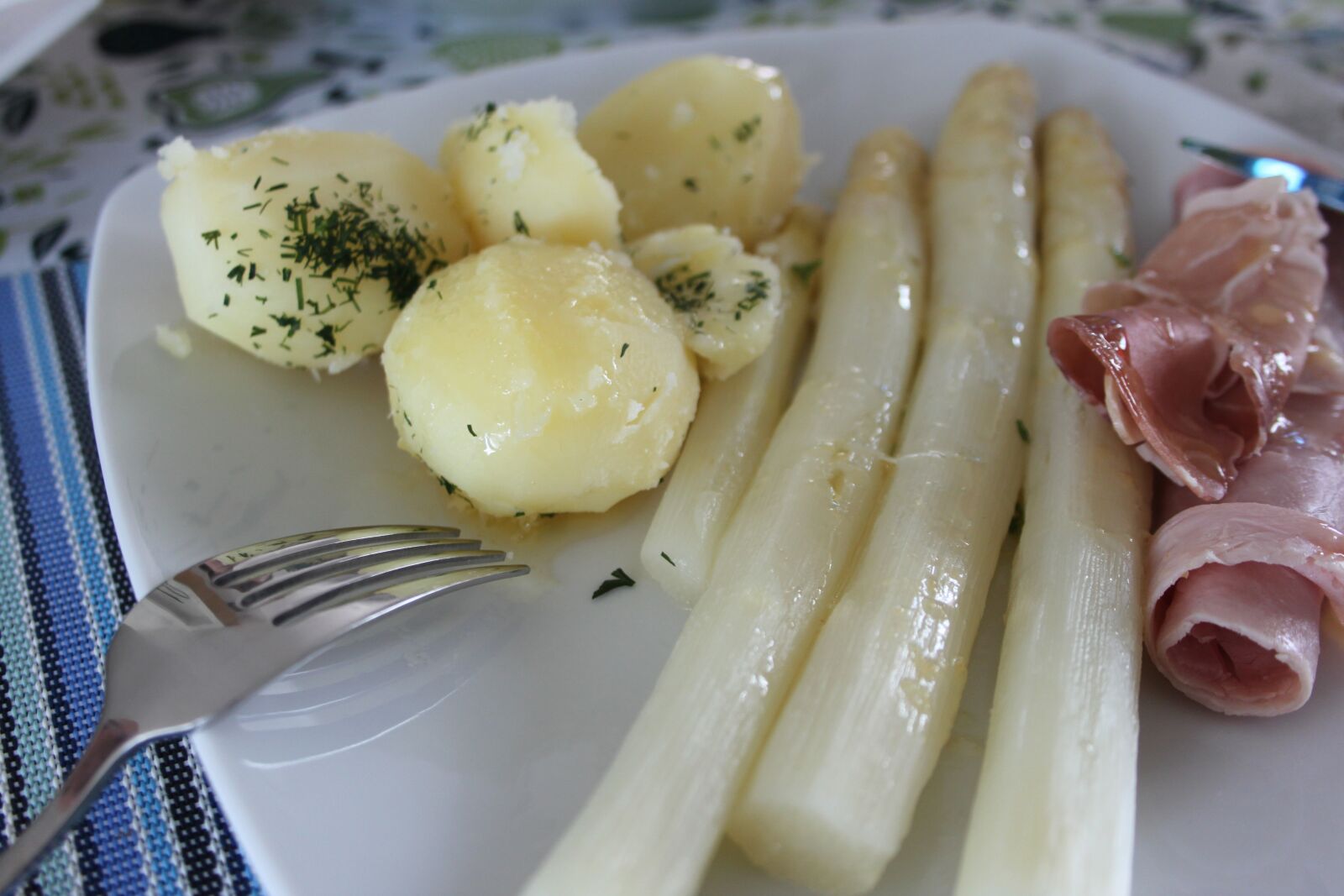 Canon EOS 500D (EOS Rebel T1i / EOS Kiss X3) sample photo. Asparagus, culinary specialization, lunch photography