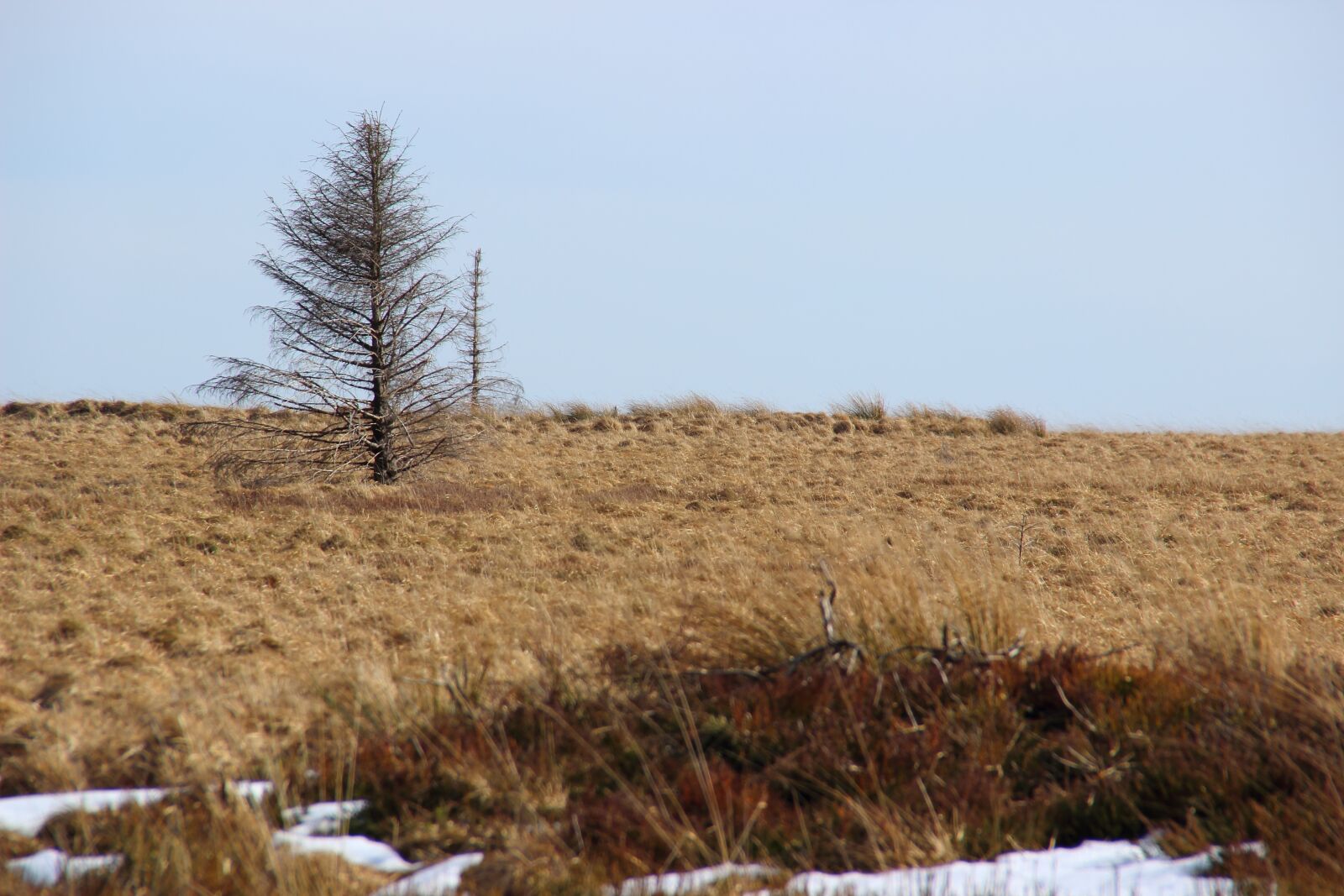 Canon EOS 600D (Rebel EOS T3i / EOS Kiss X5) sample photo. Landscape, venn, belgium photography