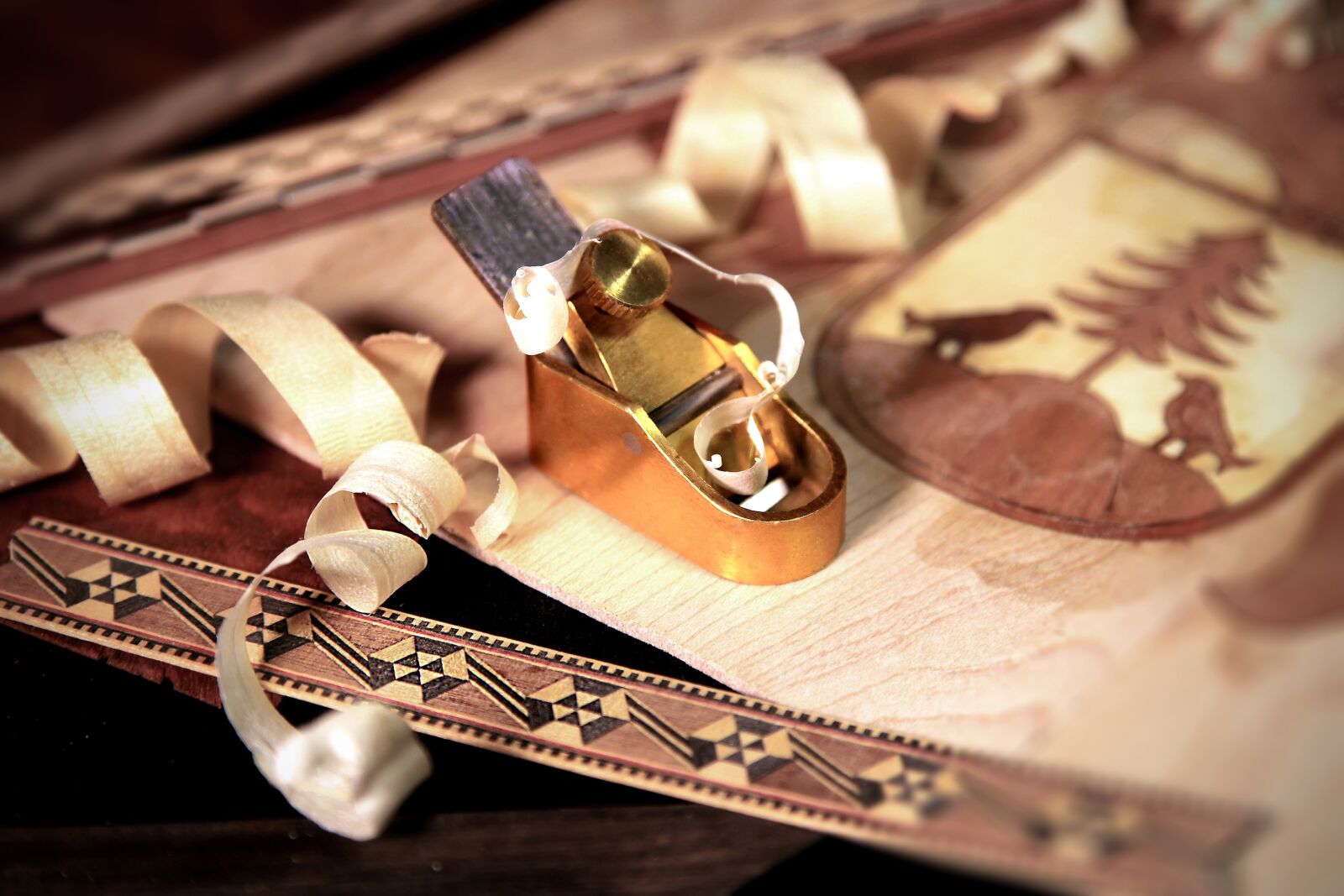 Canon EOS 5D Mark II sample photo. Inlay, veneer, planer photography