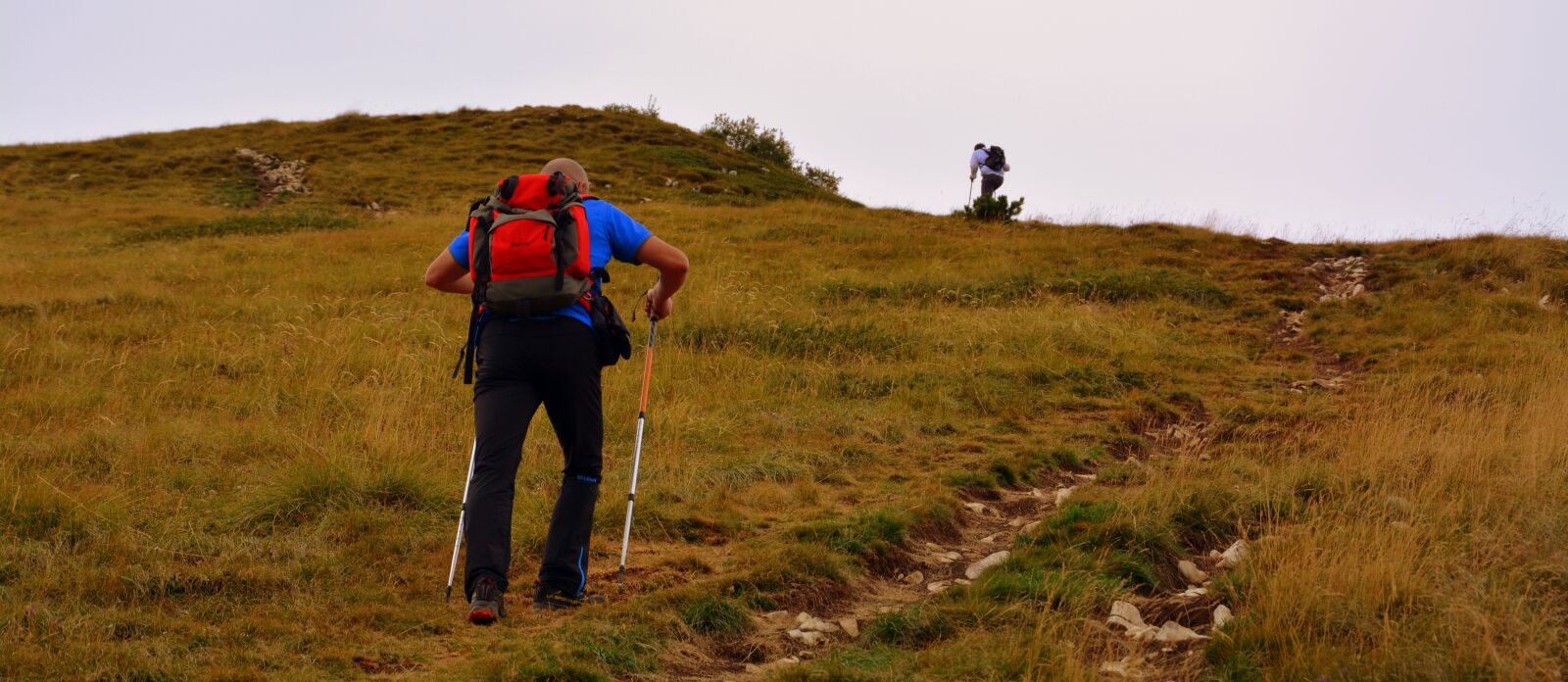 Nikon D7100 sample photo. Trail, hiking, ascent photography