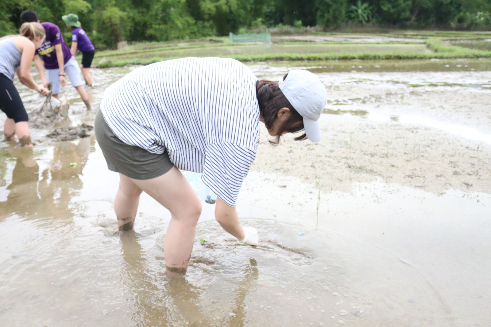 Canon EOS 70D sample photo