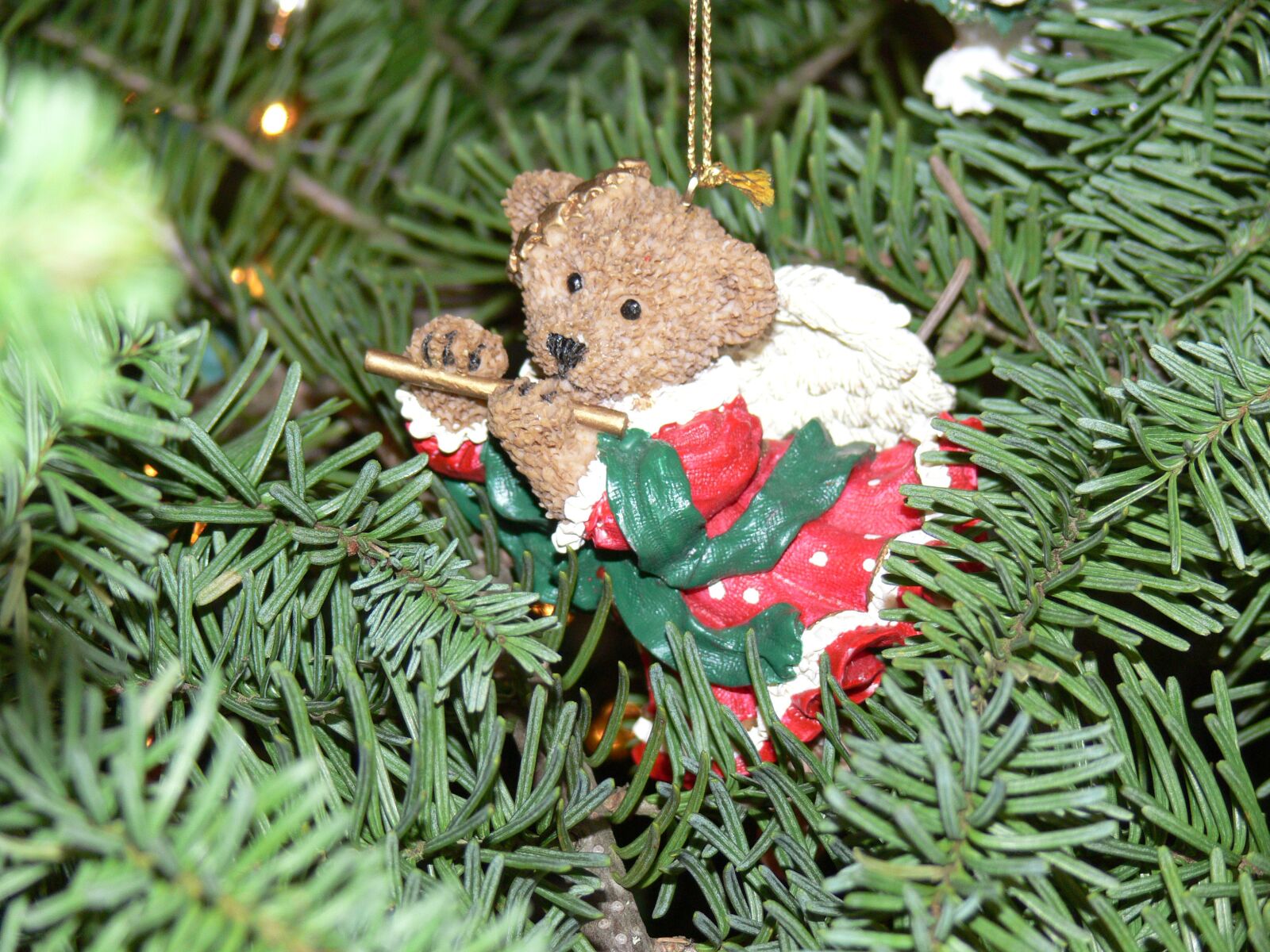 Panasonic DMC-FZ30 sample photo. Christmas, ornament, decoration photography