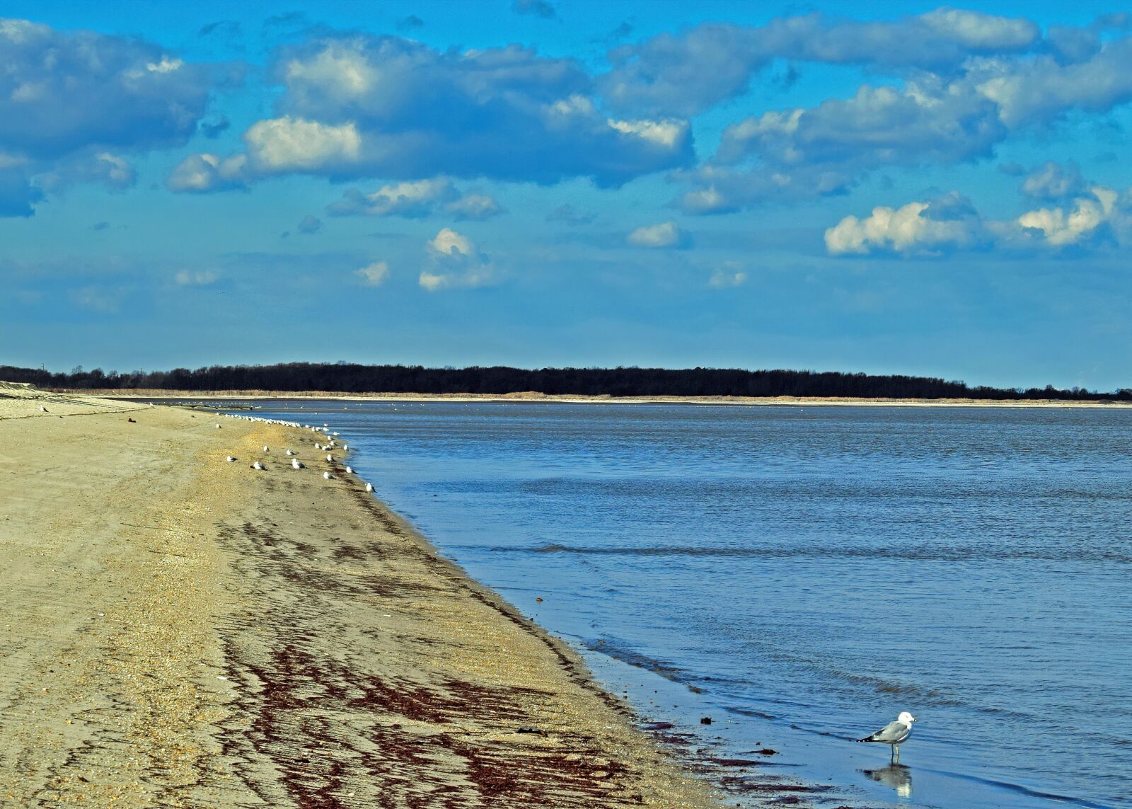 Nikon D3300 sample photo. Beach, ocean, sky photography