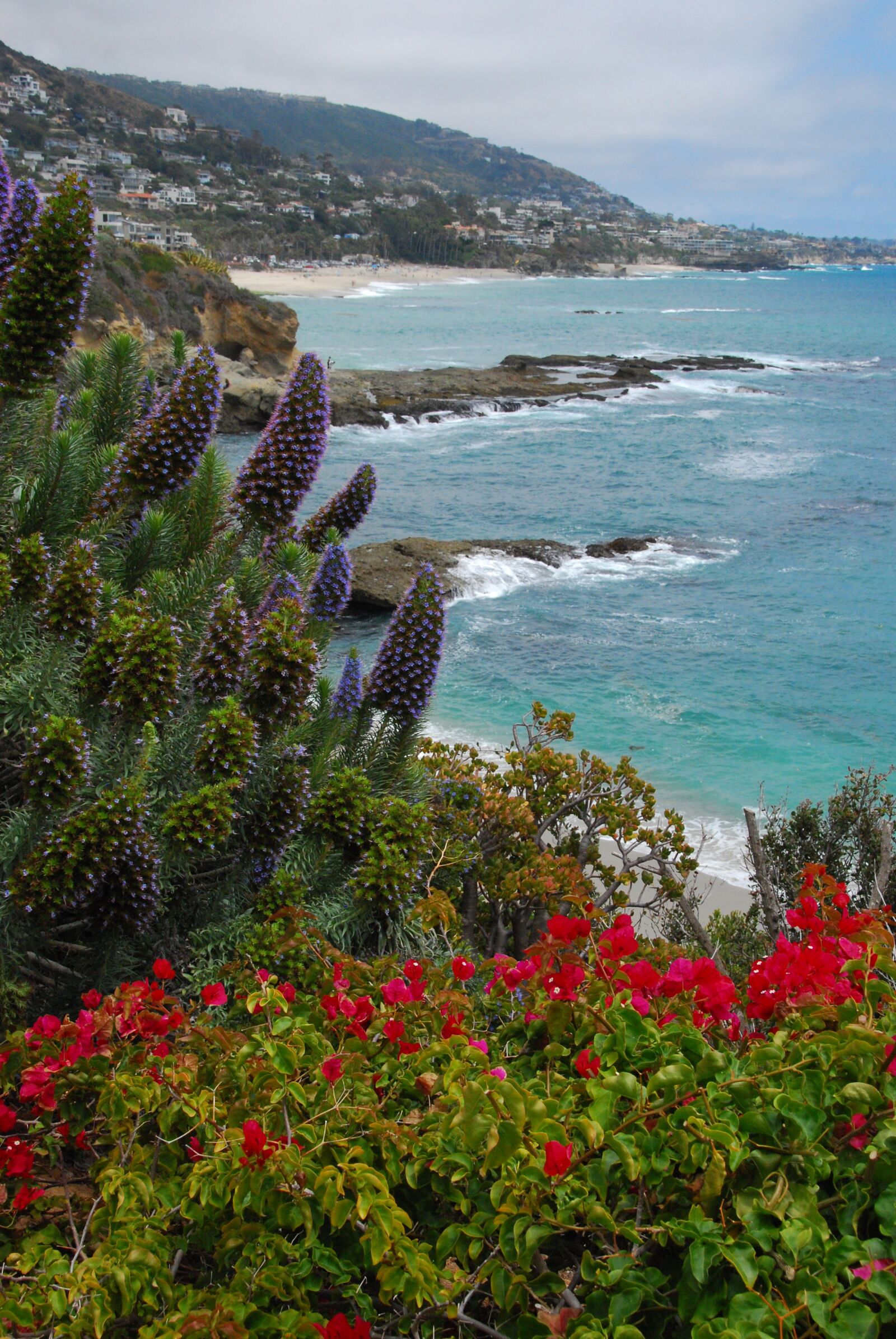 Nikon D60 sample photo. Laguna beach, california, paradise photography