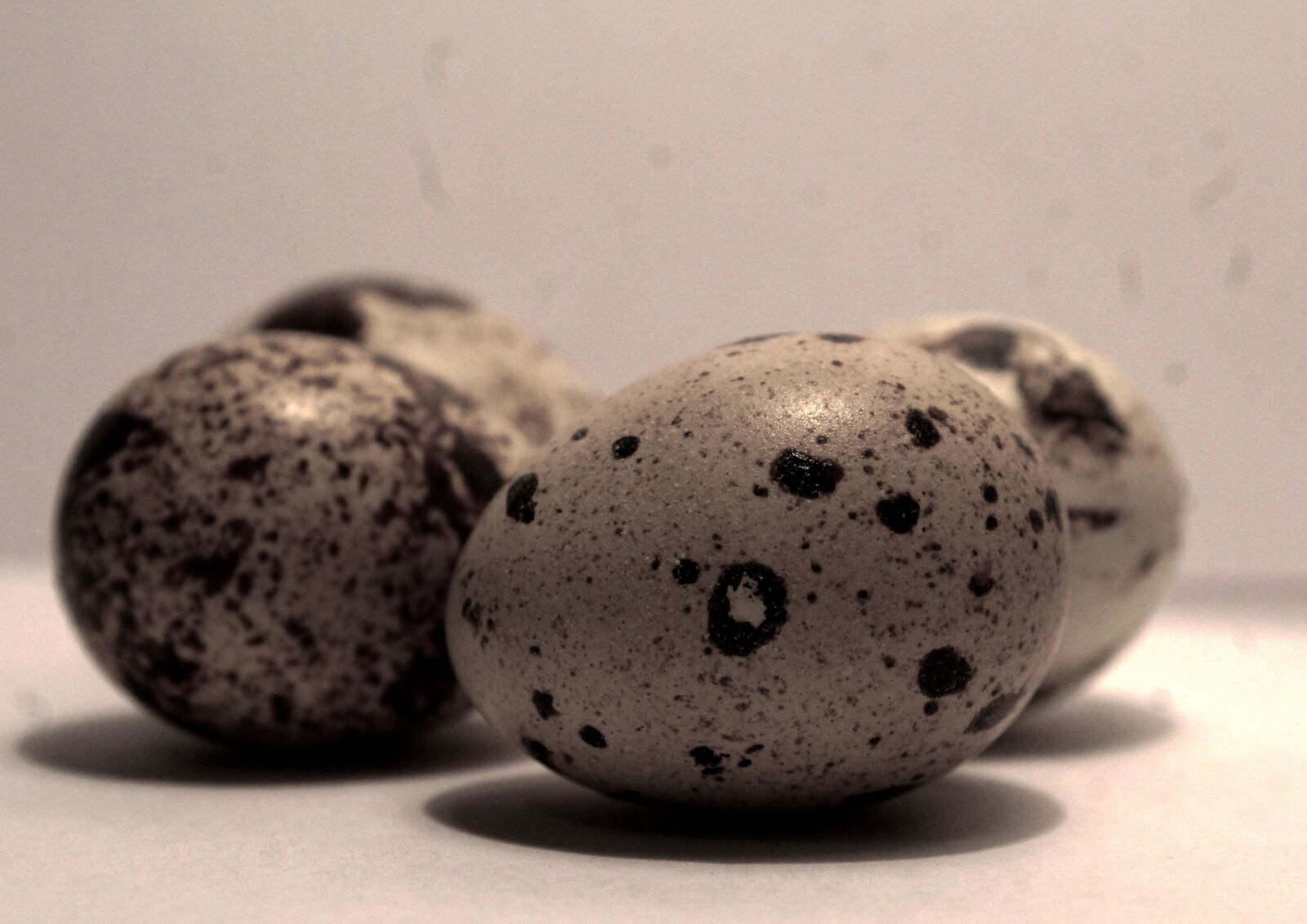 Canon EOS 1200D (EOS Rebel T5 / EOS Kiss X70 / EOS Hi) sample photo. Eggs, interior, spring photography