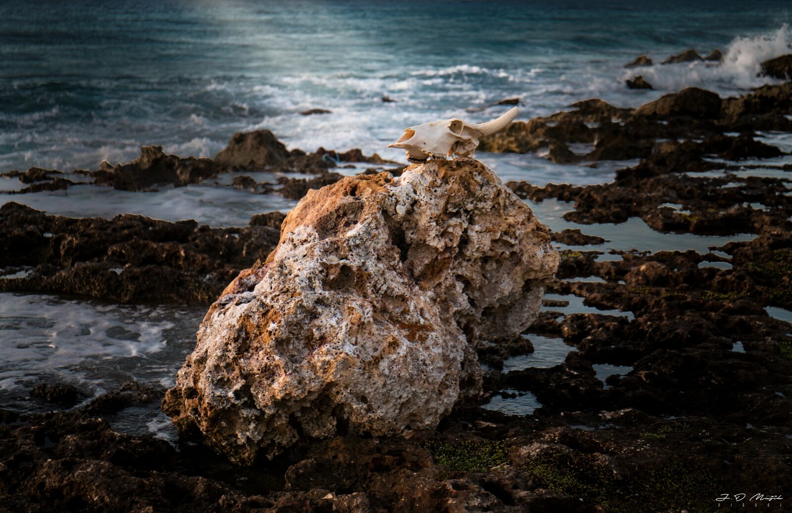 Canon EOS 6D Mark II + Canon EF 24-70mm F4L IS USM sample photo. Stone, sea, dead photography