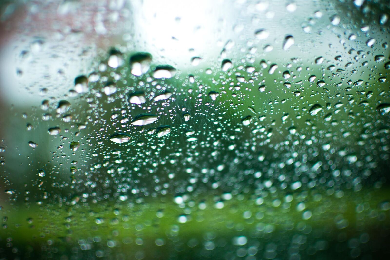 Nikon D3100 sample photo. 35mm, drops, rain photography
