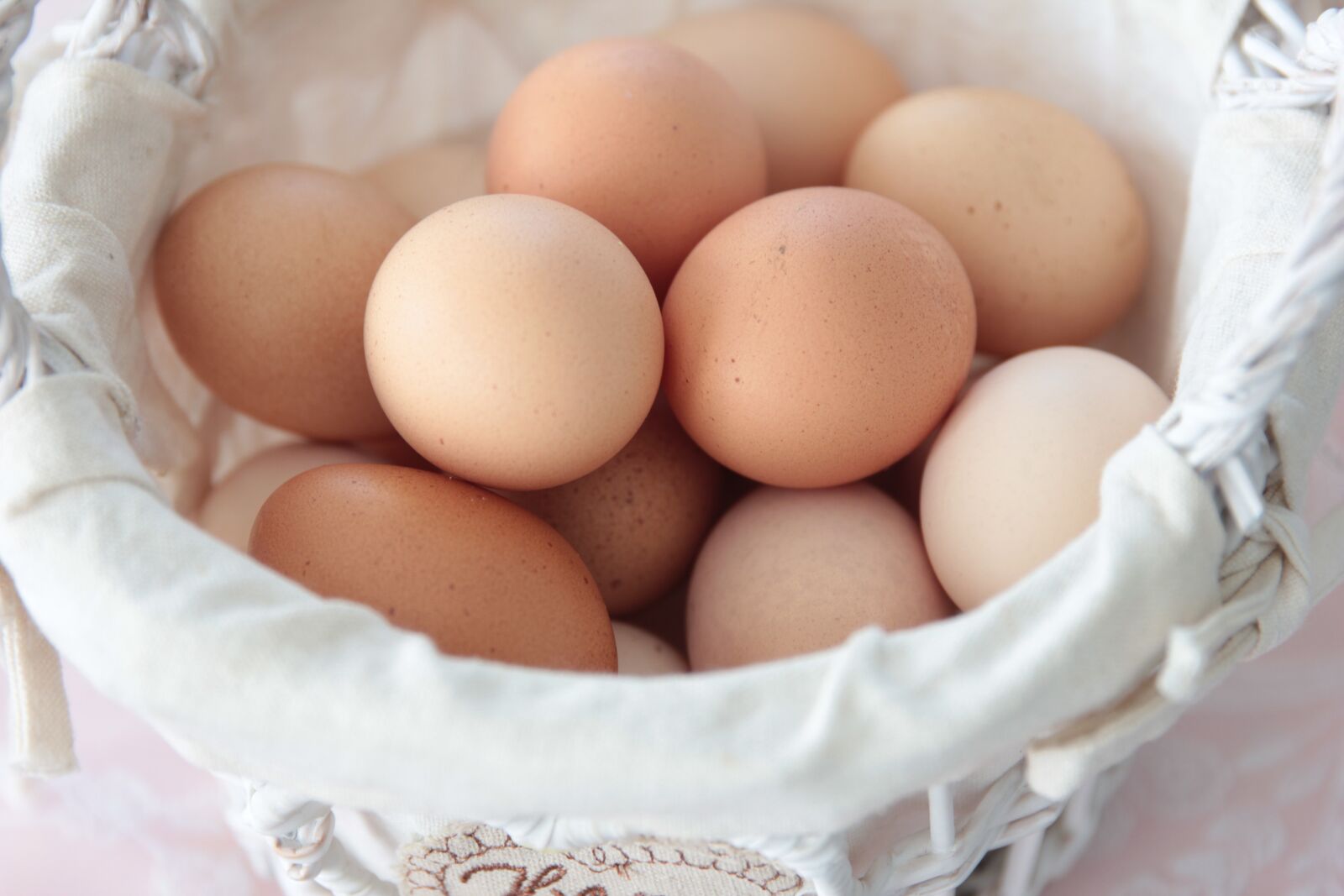 Canon EOS 550D (EOS Rebel T2i / EOS Kiss X4) sample photo. Egg, food, vitamin photography