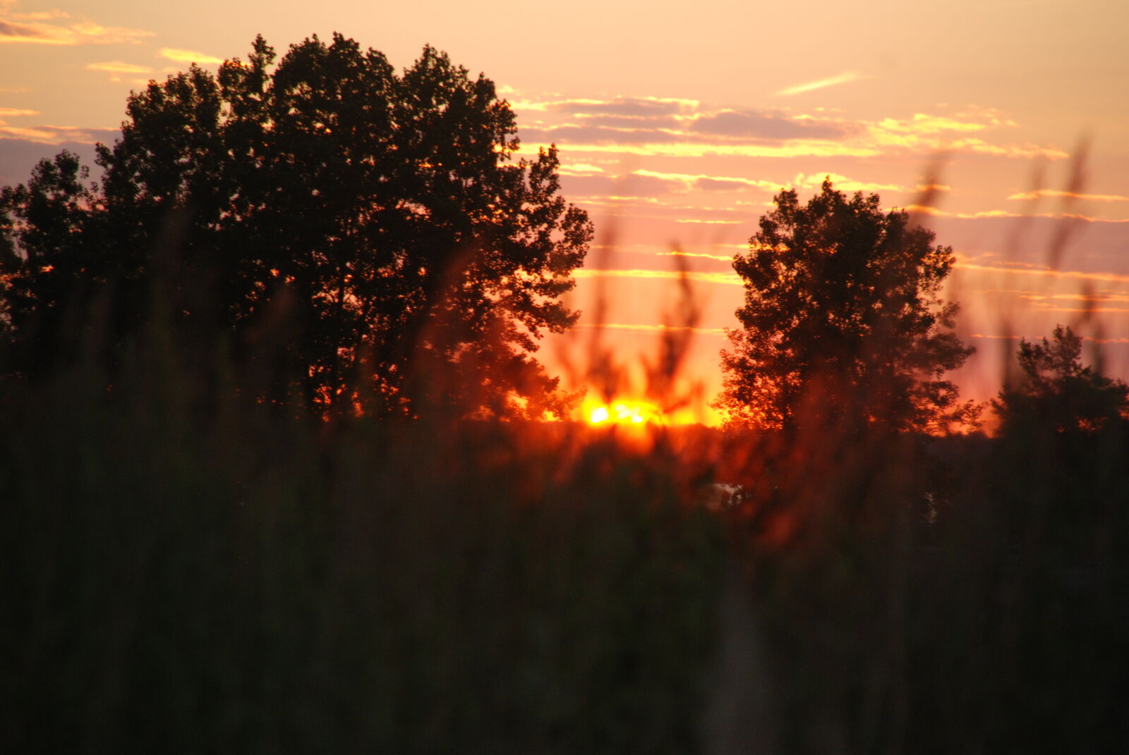 Nikon D80 sample photo. Sunsets photography