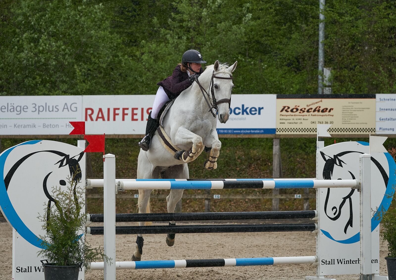 Sony a9 sample photo. Horse jumping, competition, obstacle photography