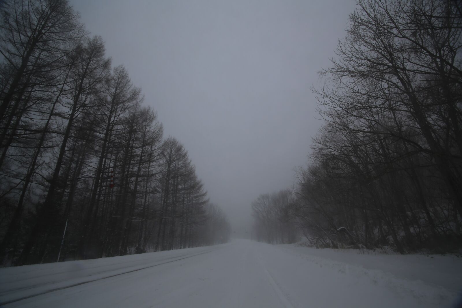 Canon EOS 5D Mark III sample photo. Hokkaido, road, tree photography