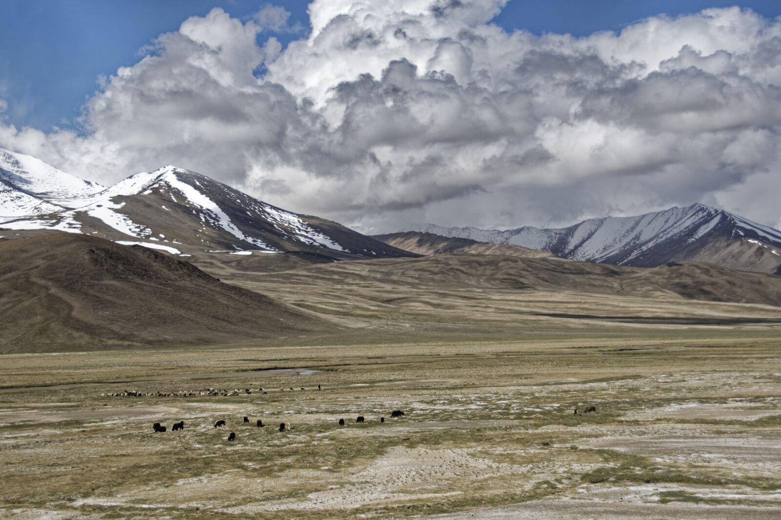 Nikon D500 sample photo. Tajikistan, the pamir mountains photography