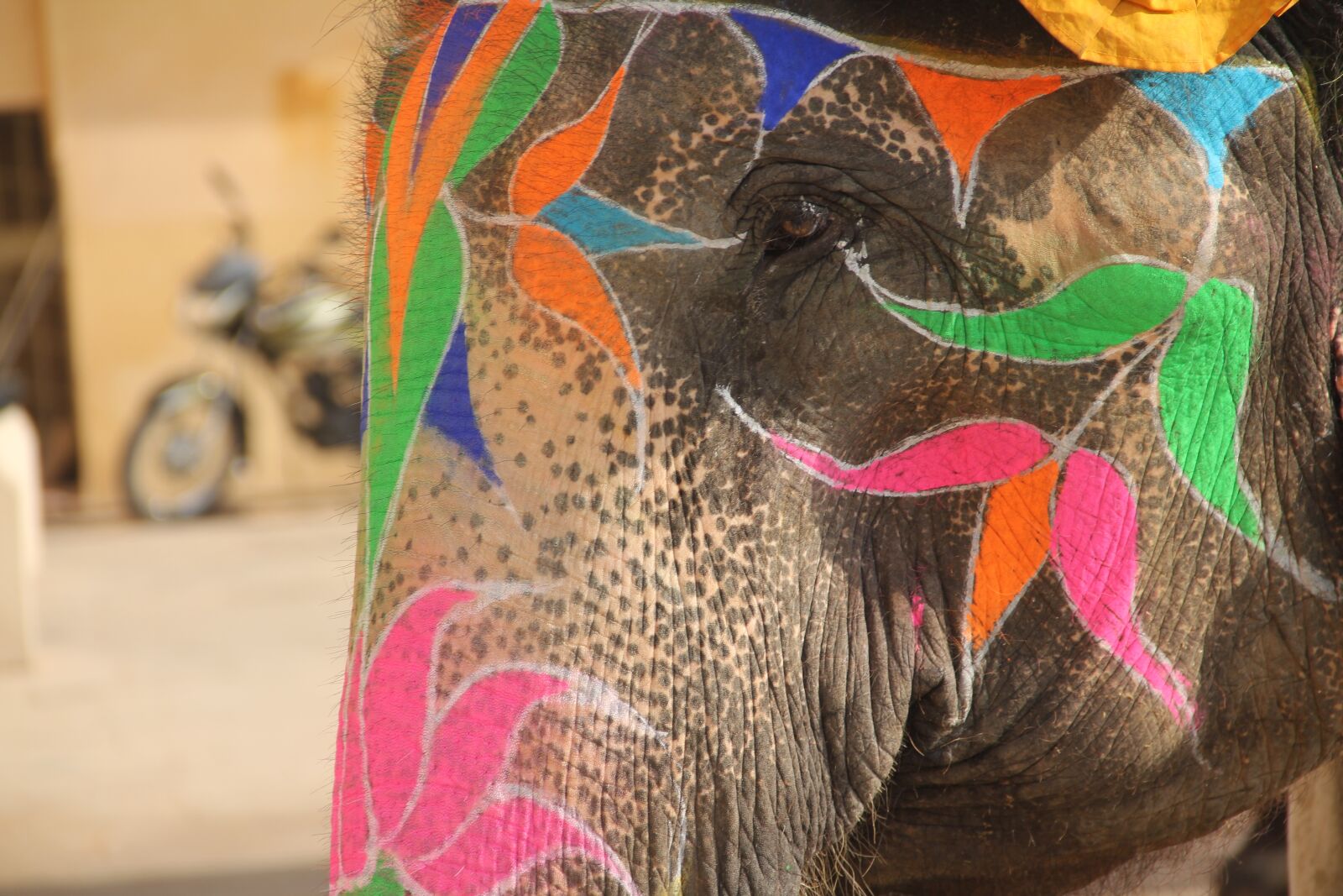 Canon EOS 60D sample photo. Color, art, elephant photography