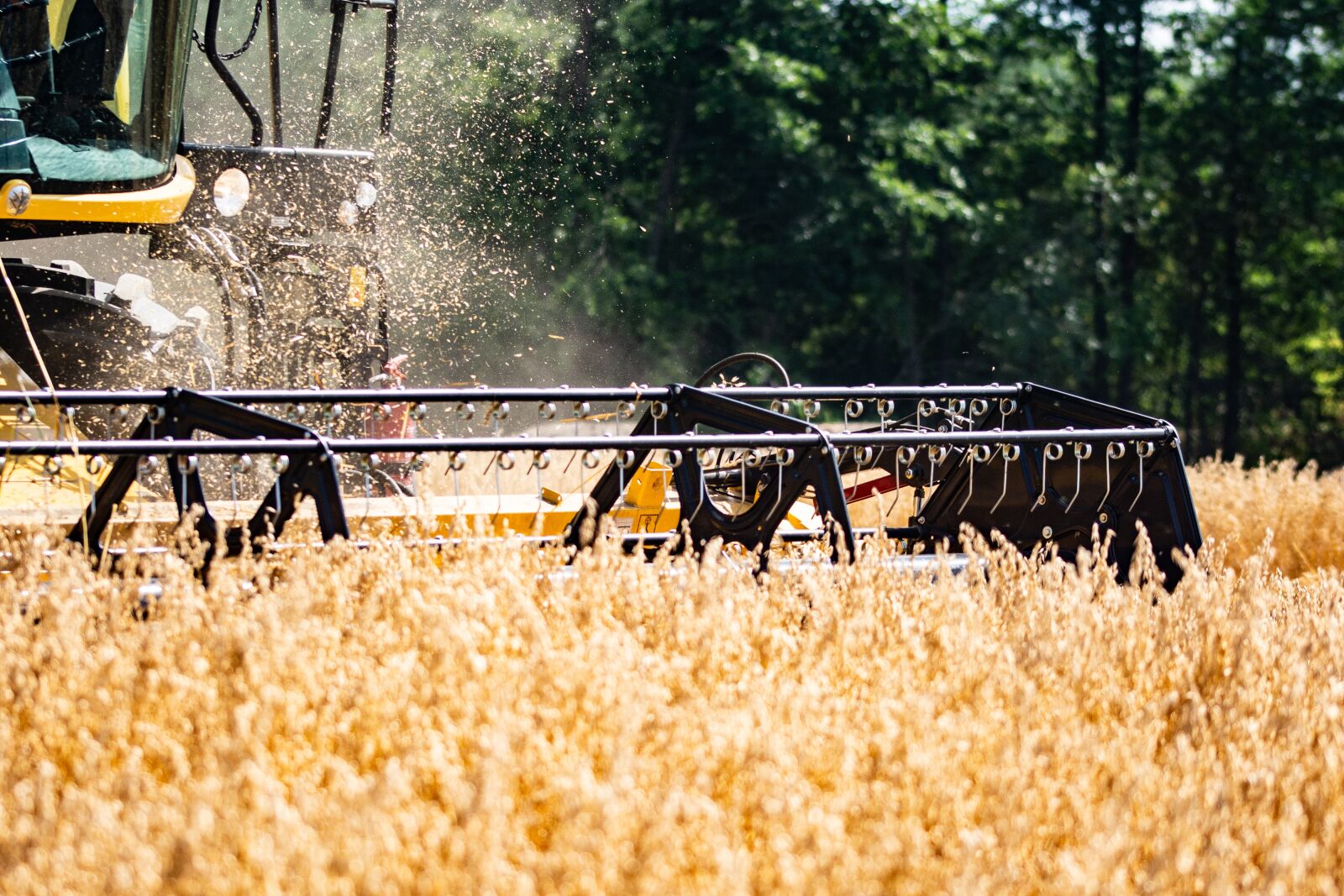 Nikon D7100 sample photo. Combine, village, corn photography
