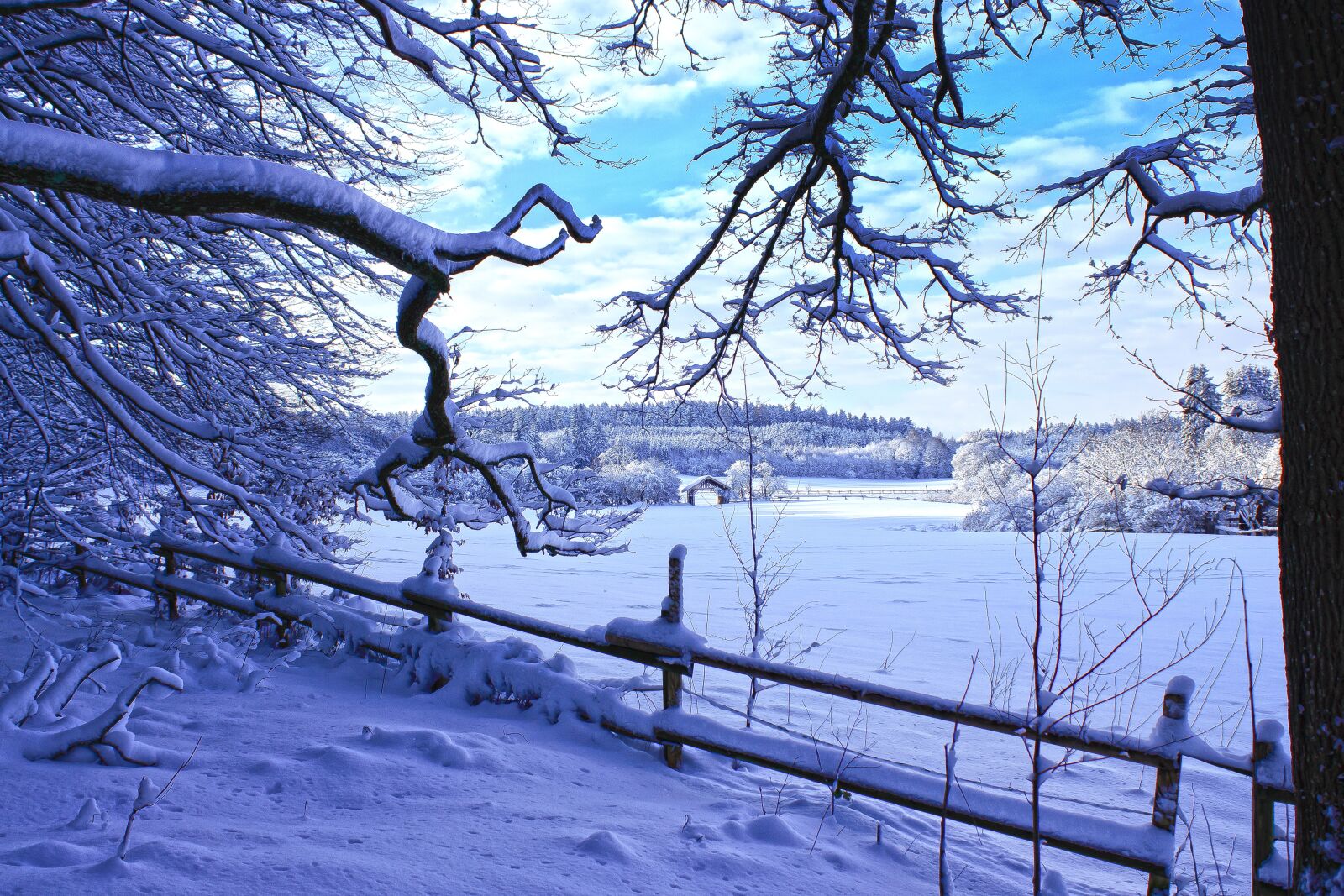 Canon EOS 1300D (EOS Rebel T6 / EOS Kiss X80) sample photo. Winter, landscape, snow photography