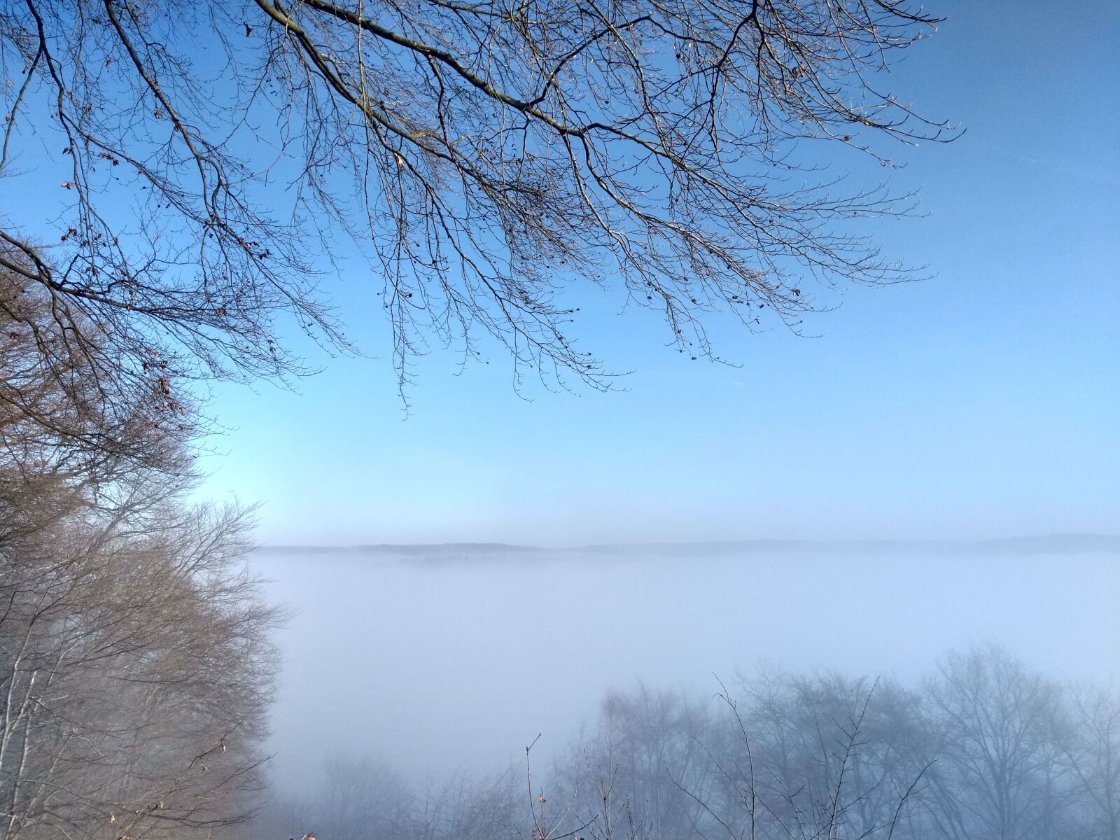 Motorola Moto G (5th Gen) sample photo. Nature, winter, cold photography