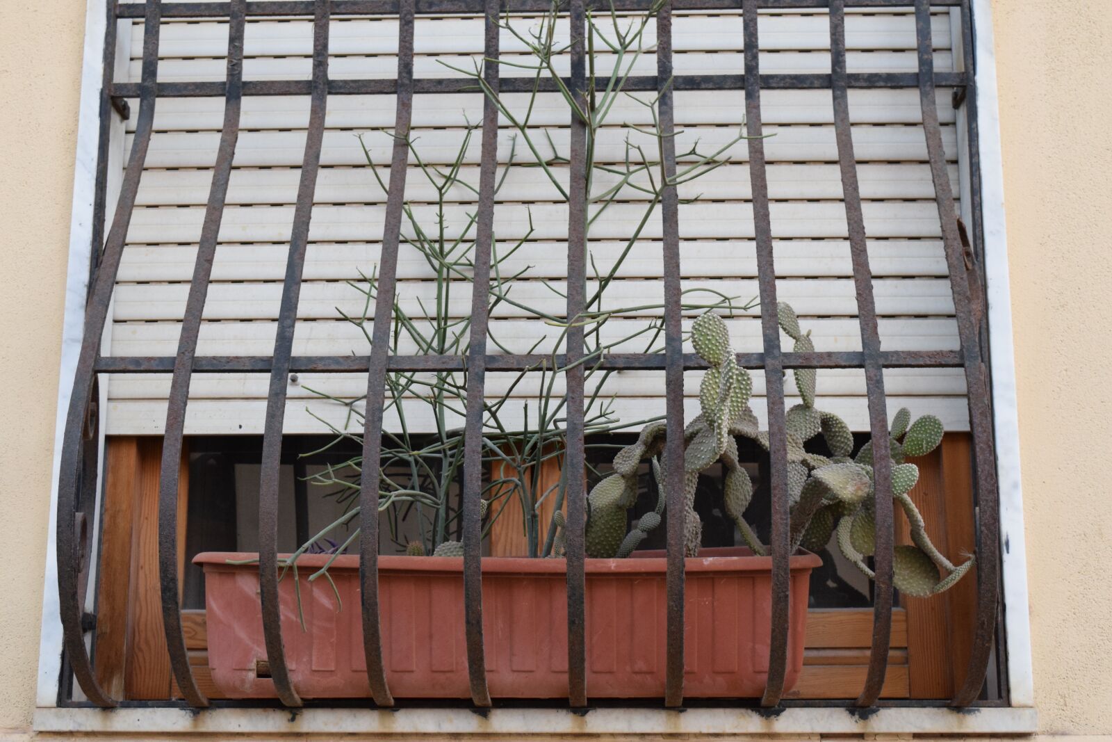 Nikon D3300 sample photo. Window, window decorations, flower photography