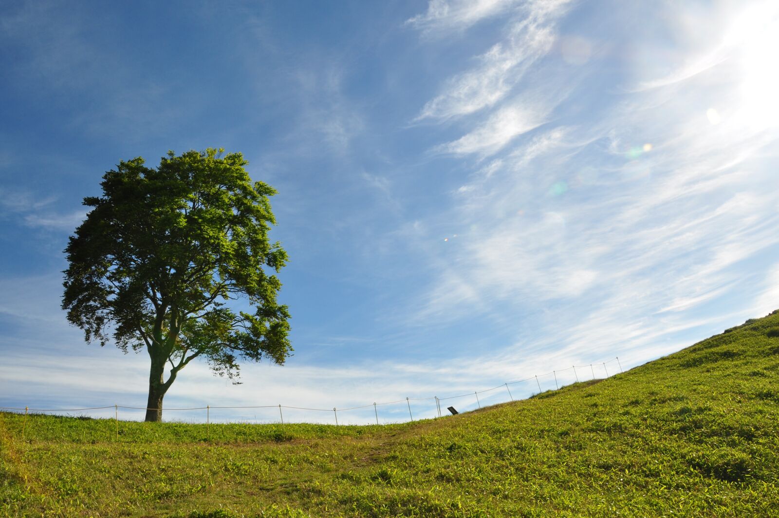 Nikon D90 sample photo. Natural, views from the photography