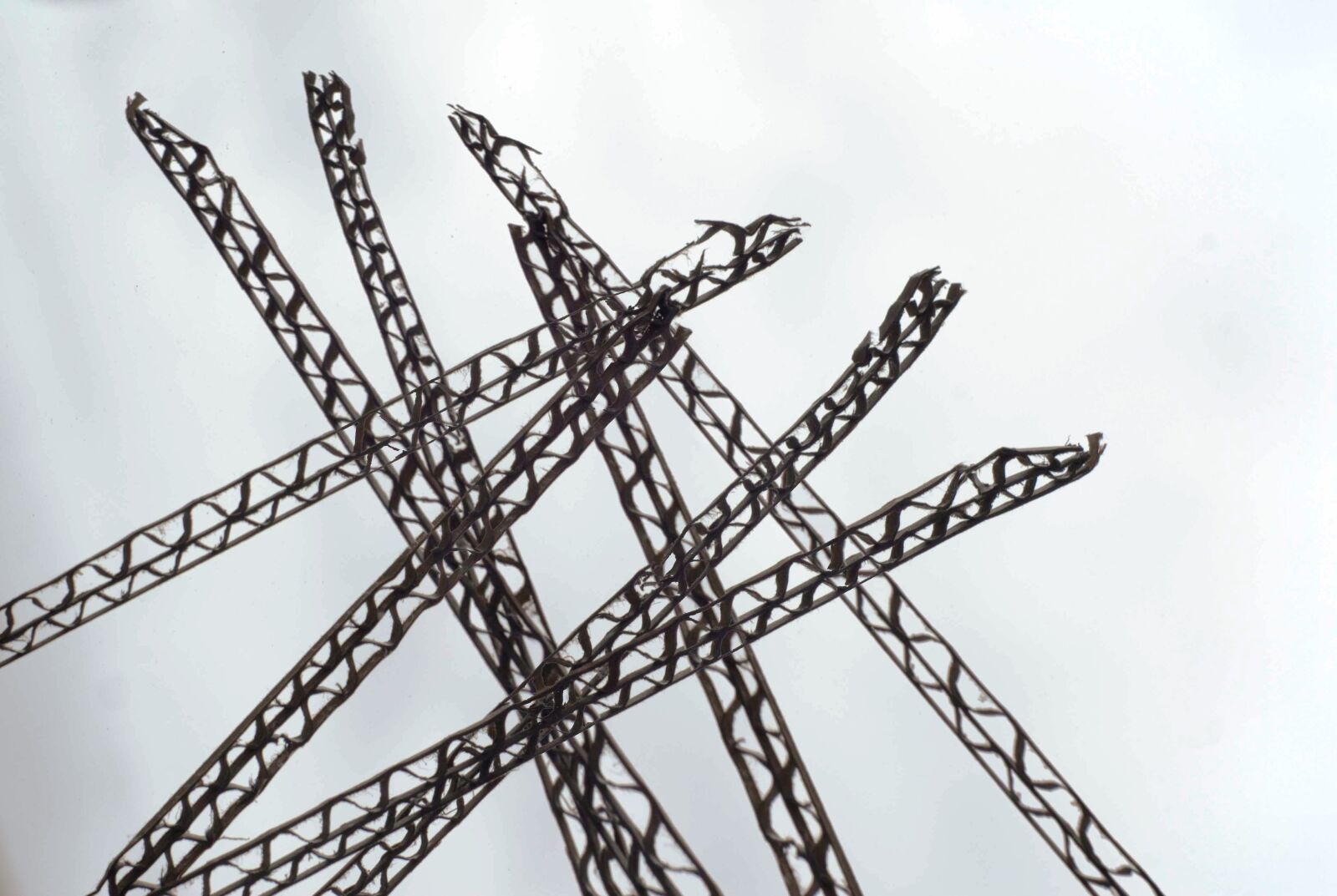 Nikon D200 sample photo. Paper, structure, carton photography