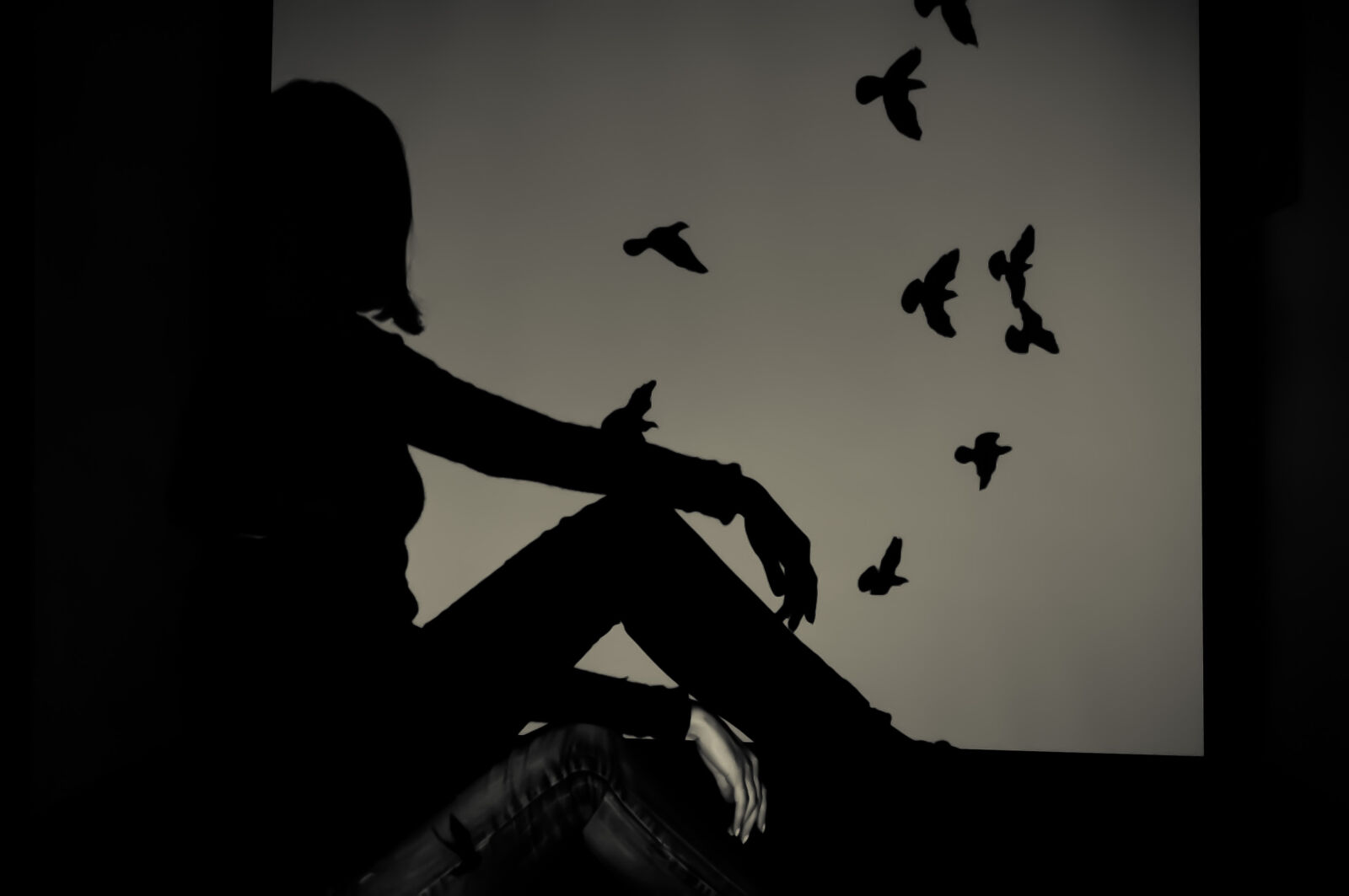 Nikon D5000 sample photo. Silhouette, of, woman, sitting photography