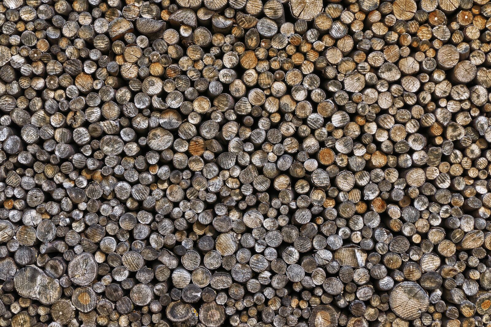 Panasonic Lumix DMC-FZ1000 sample photo. Strains, aesthetic, stacked photography