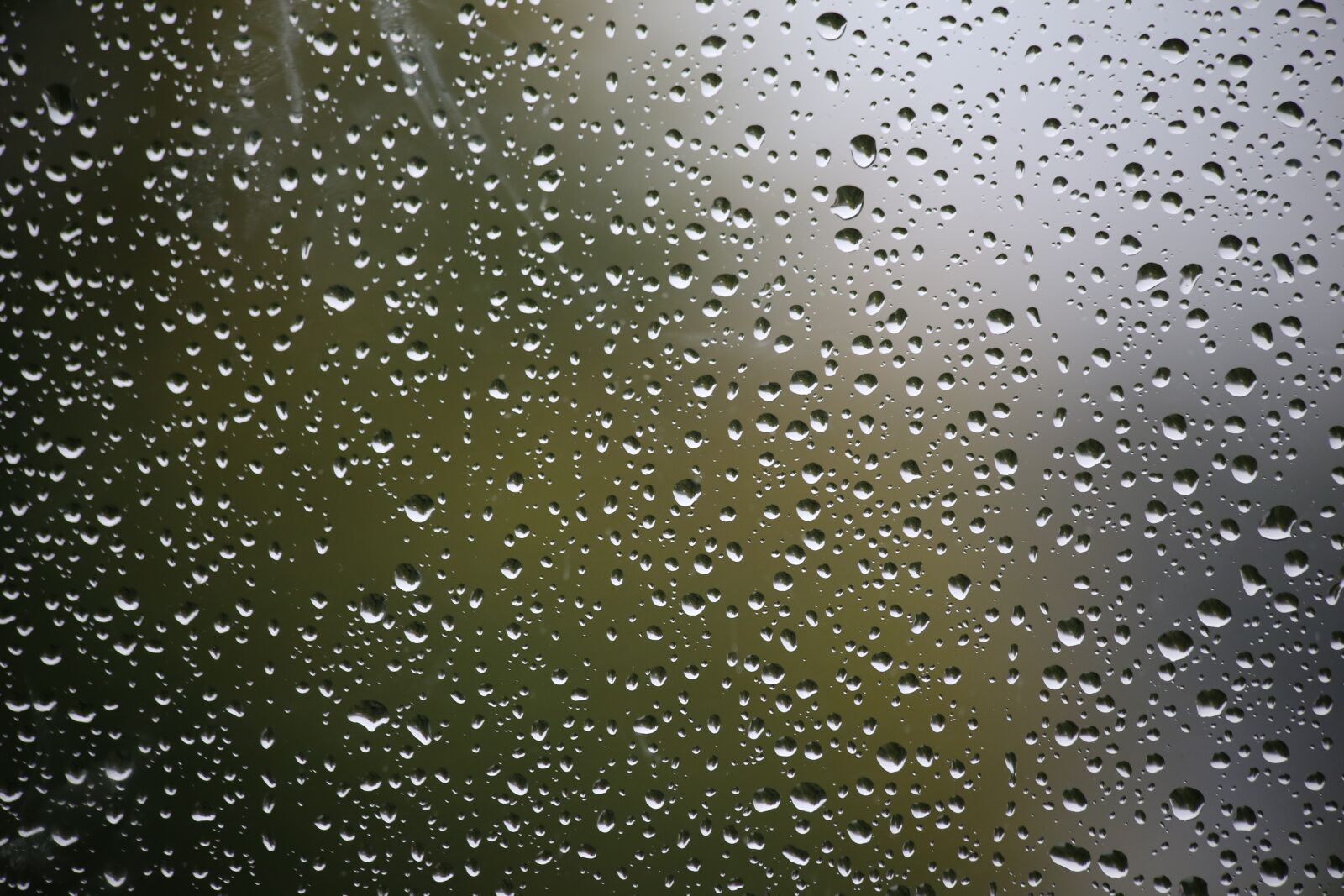 Canon EOS 6D sample photo. Rain, autumn, window pane photography