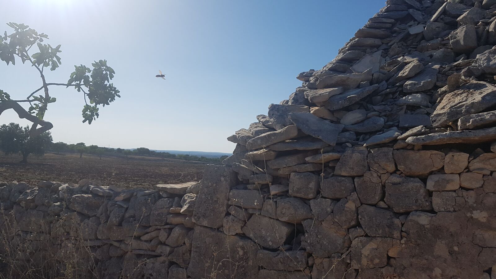 Samsung Galaxy S7 Edge sample photo. Puglia, trulli, sun photography