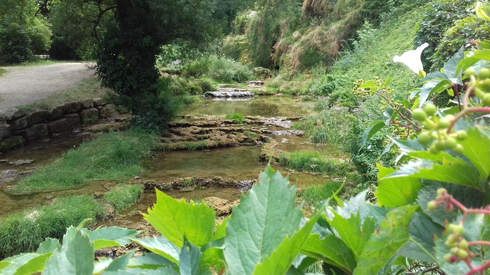 Samsung Galaxy J3(2016) sample photo. Eau, nature, verdure photography