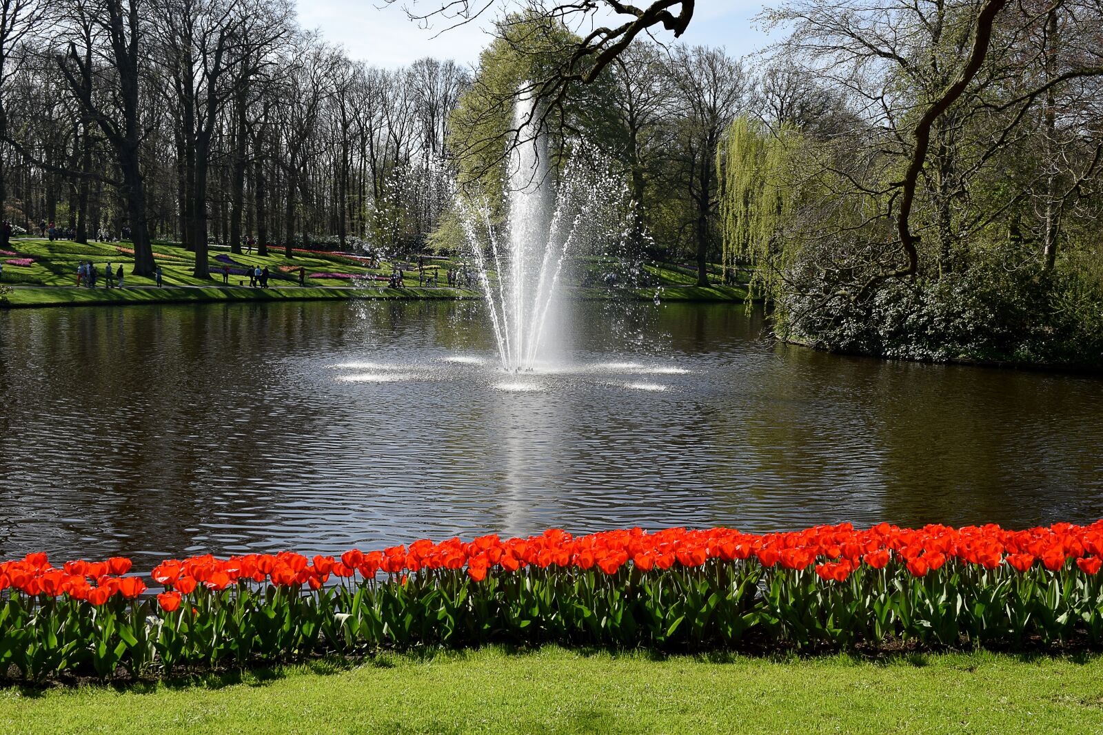 Nikon D3300 sample photo. Holland, tulips, keukenhof photography