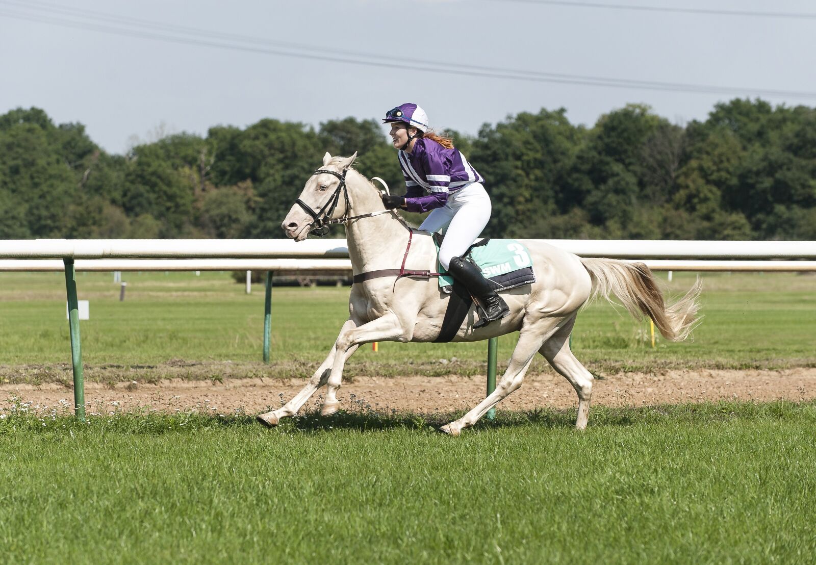 Nikon D700 sample photo. Ride, horsewoman, women's power photography