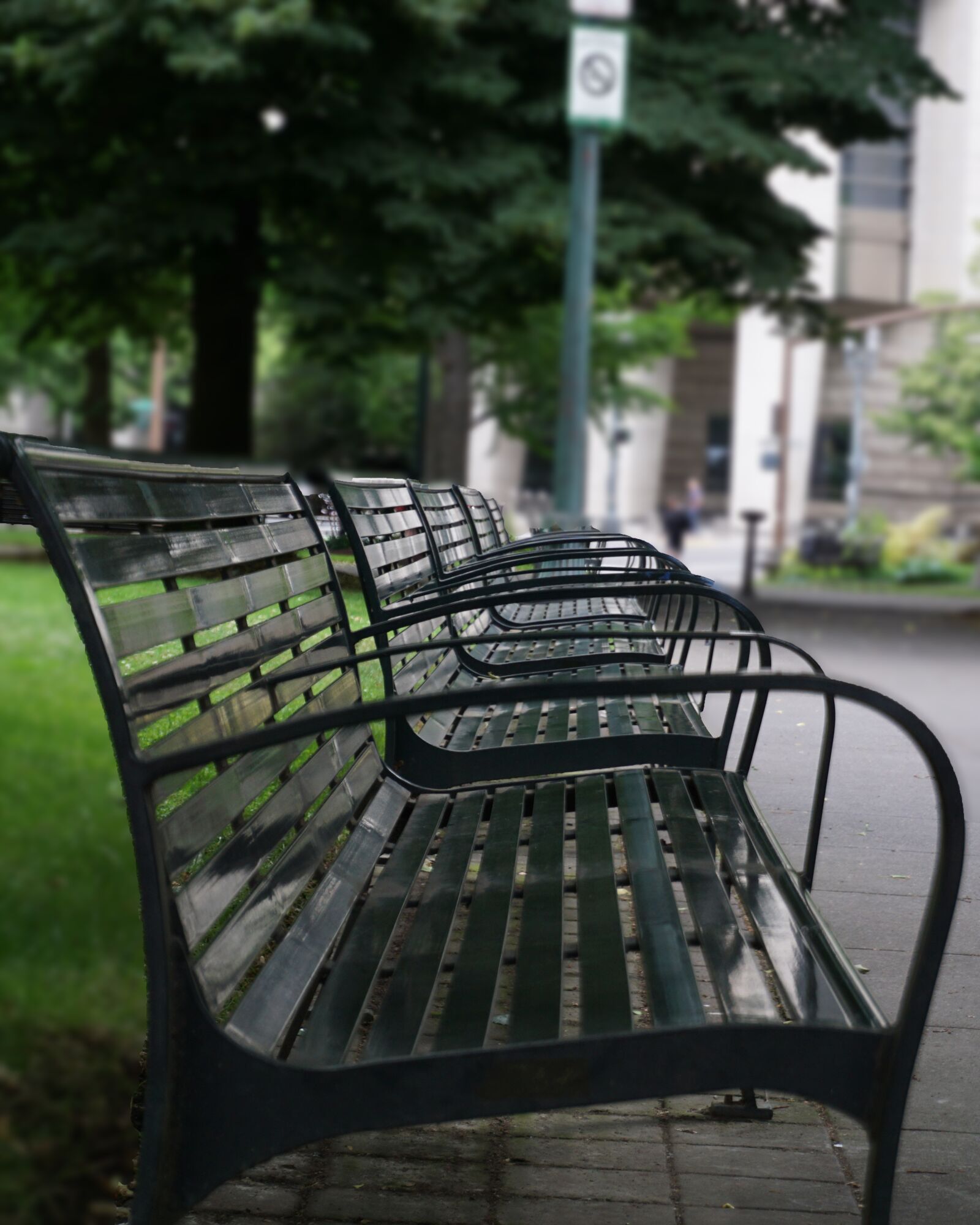 Sony a6000 sample photo. Park bench, benches, park photography