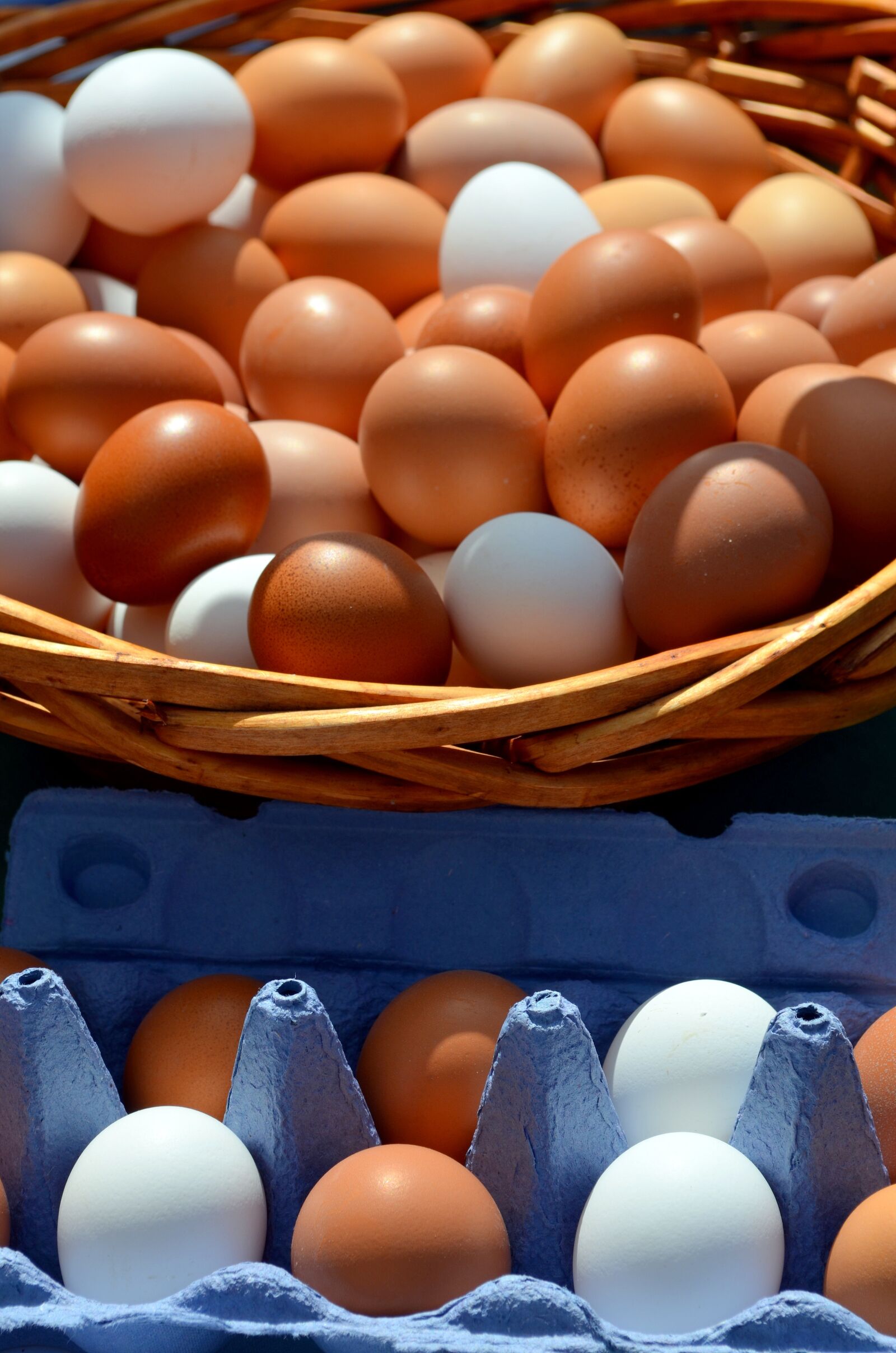Nikon D5100 sample photo. Egg, hen's egg, egg photography