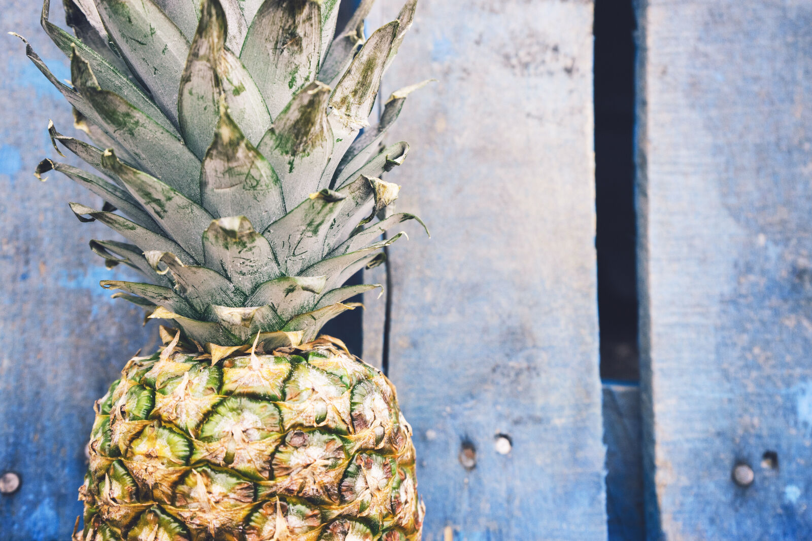 Sony a7 II + Sony FE 28-70mm F3.5-5.6 OSS sample photo. Fruit, golden, pineapple, summer photography