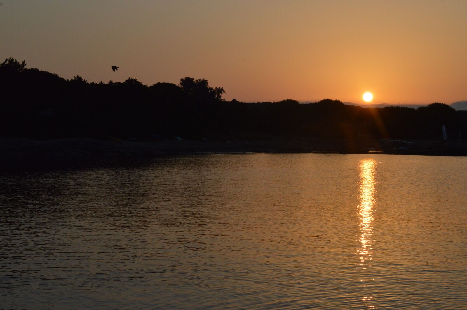 Nikon D3200 sample photo. Sunshine, sun, summer photography