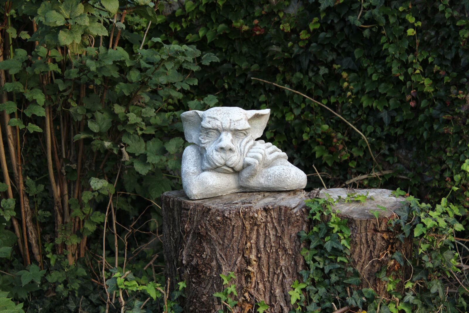 Canon EOS 1200D (EOS Rebel T5 / EOS Kiss X70 / EOS Hi) sample photo. Garden, troll, garden figurines photography