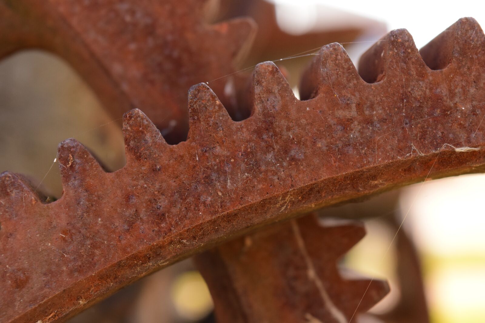 Nikon D3300 sample photo. Gears, metal, rust photography