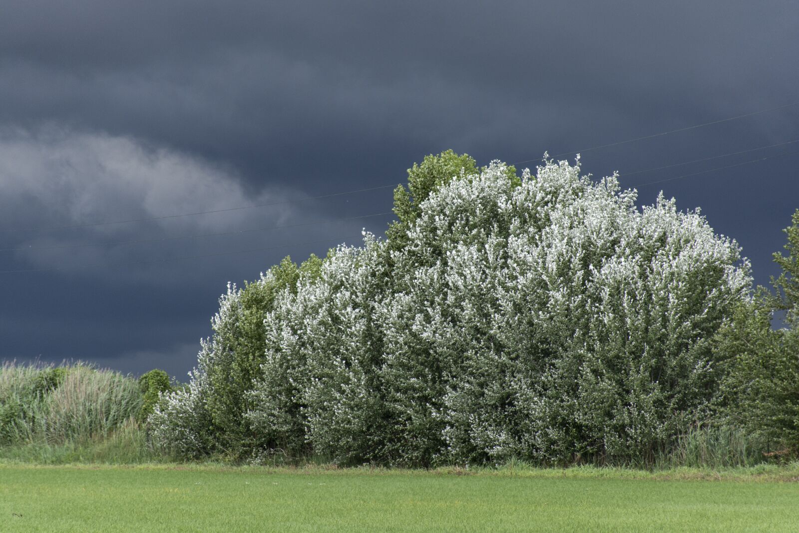 Nikon D7100 sample photo. Campaign, thunderstorm, storm photography