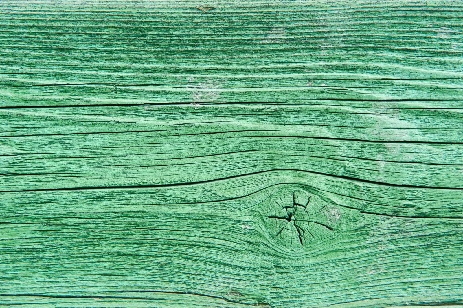 Nikon D700 sample photo. Green, emerald, the old photography