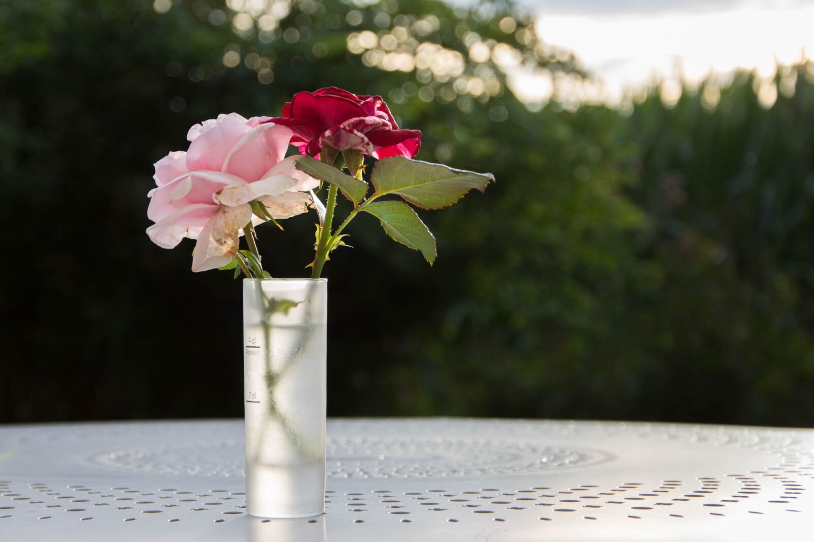 Nikon D7200 sample photo. Vase, flowers, roses photography