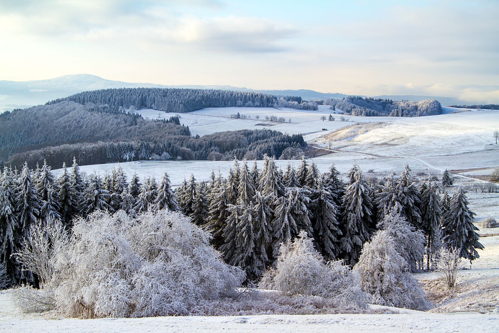 Canon EOS 7D sample photo. Winter, snow, wintry photography
