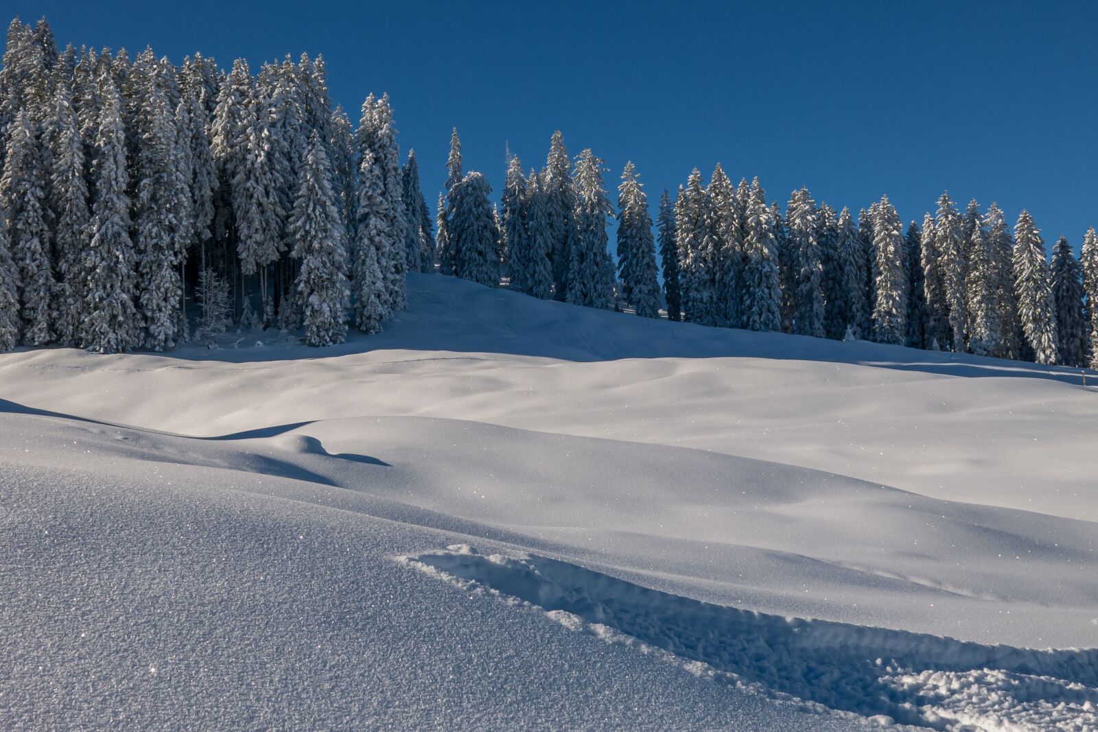 Canon PowerShot G15 sample photo. Winter, landscape, snow photography