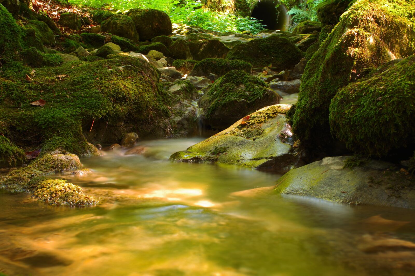 Pentax K-S2 sample photo. Nature, idyll, water photography