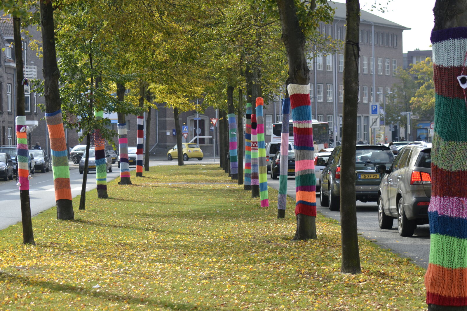 Nikon D3100 sample photo. Breda, natur, streets, tree photography