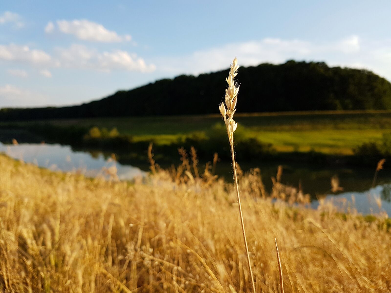 Samsung Galaxy S7 Edge sample photo. Landscape, nature, field photography