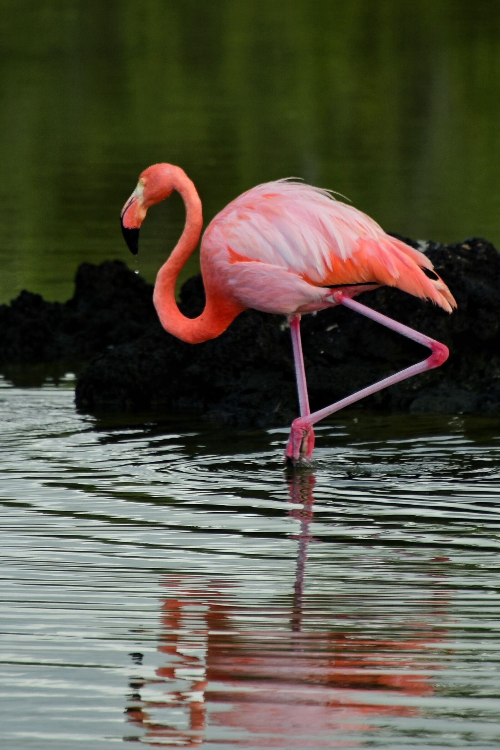 Nikon D810 sample photo